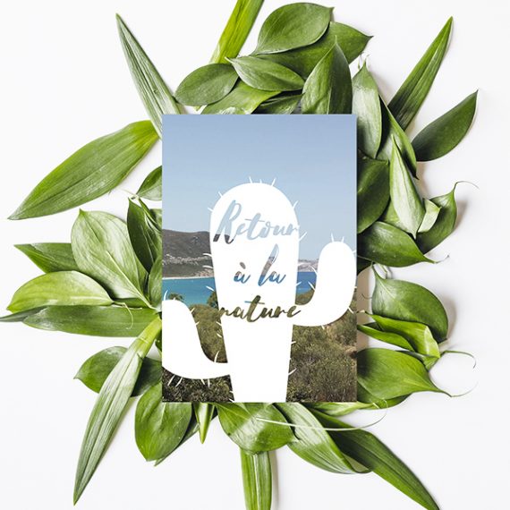 carte-postale-cactus