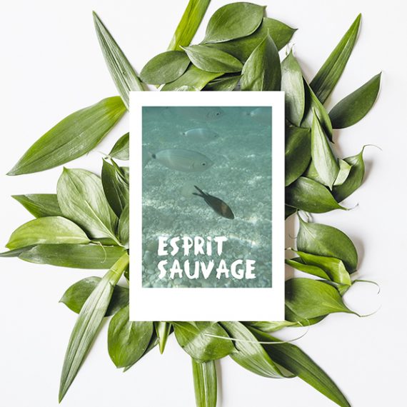 carte-postale-esprit-sauvage